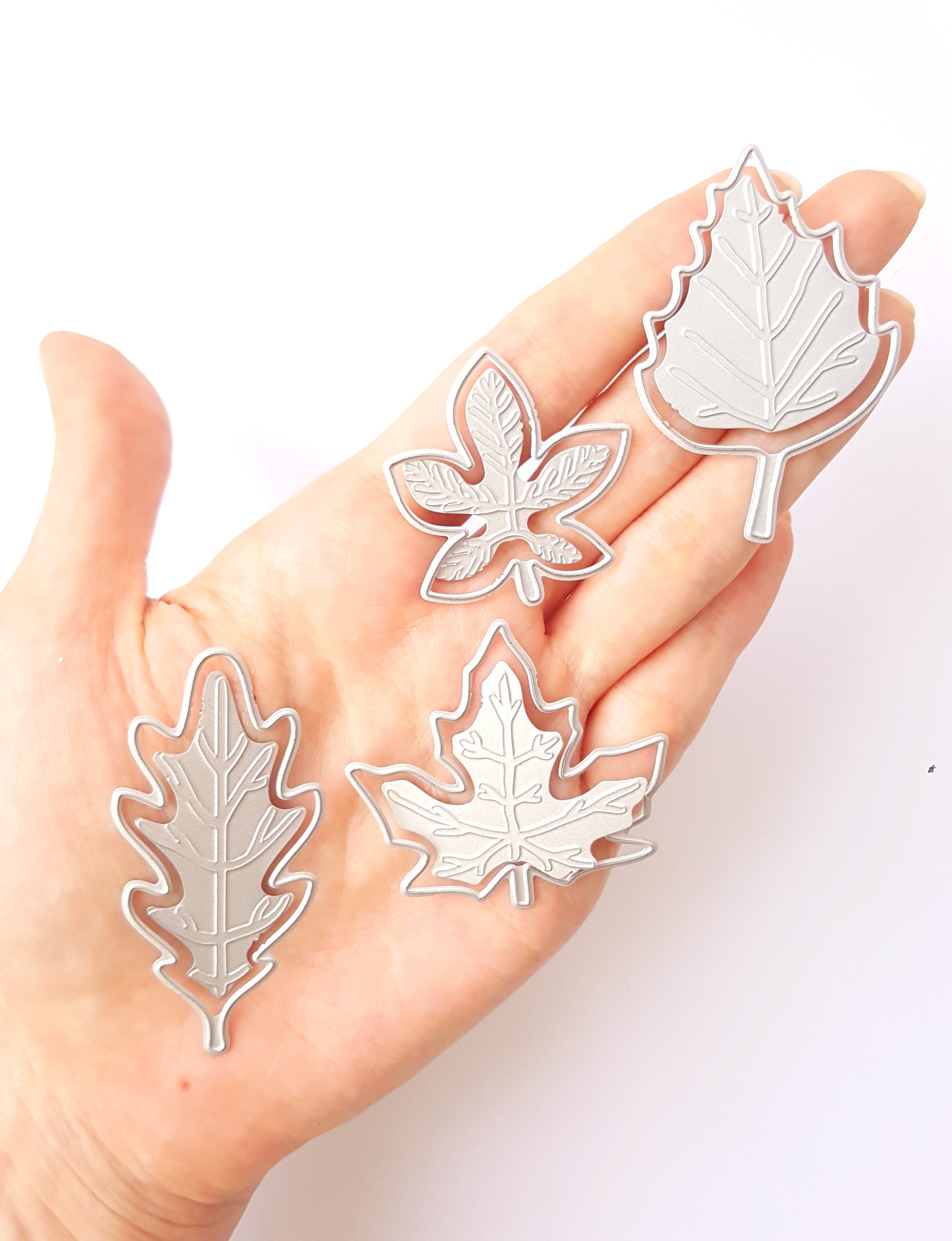 Leaves cutting embossing dies 8 pcs set - Luxy Kraft