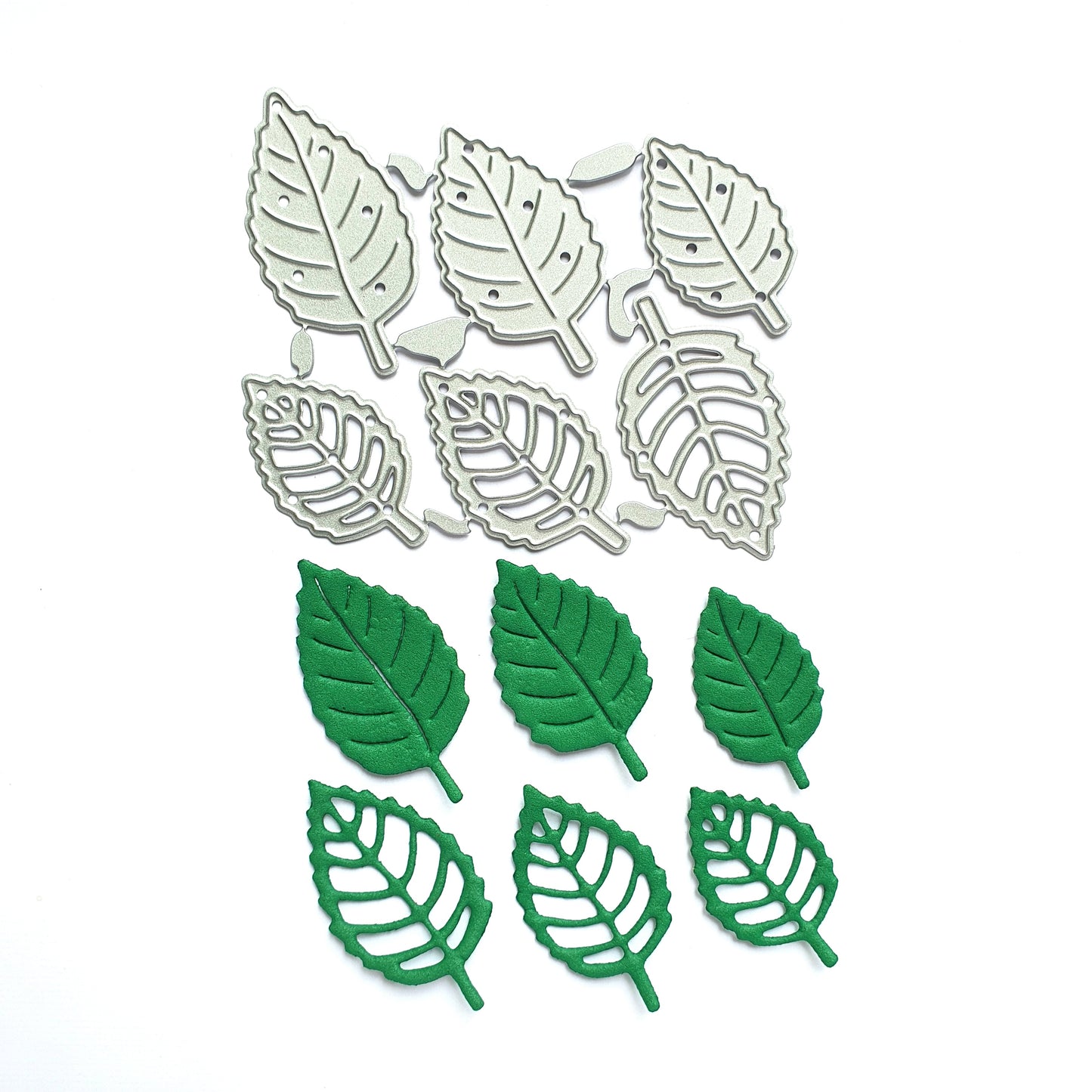 Leaves Metal Cutting Dies 6 pcs set - Luxy Kraft