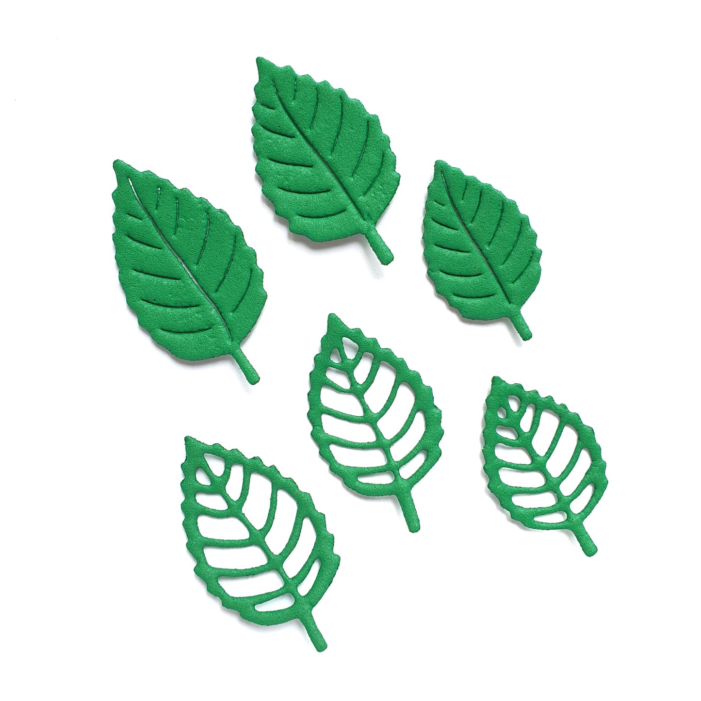 Leaves Metal Cutting Dies 6 pcs set - Luxy Kraft