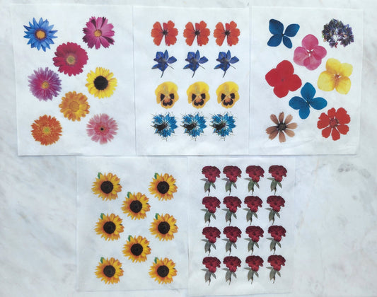 5 pcs set Water-soluble transfer paper for polymer clay craft "Dry flowers"